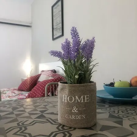 Agianapanest アヤナパ